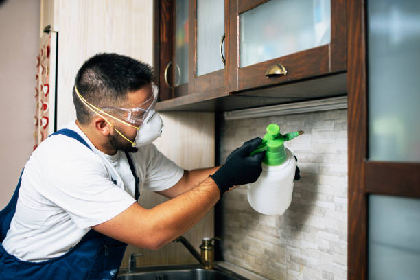 Best Affordable Pest Control Services  in Carrollton, IL