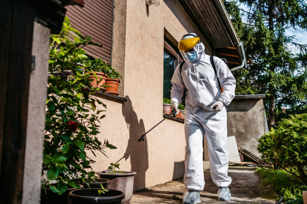 Best Exterminator Services  in Carrollton, IL